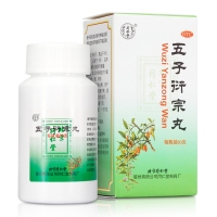 6盒120元】同仁堂 五子衍宗丸(水蜜丸)  60g