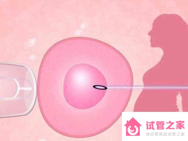 女性先天性始基子宮手術(shù)融合后可以做試管嬰兒生孩子嗎？