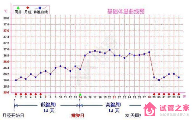 經(jīng)驗(yàn)分享：女性自測安全期的3個小妙招，看完都說準(zhǔn)！