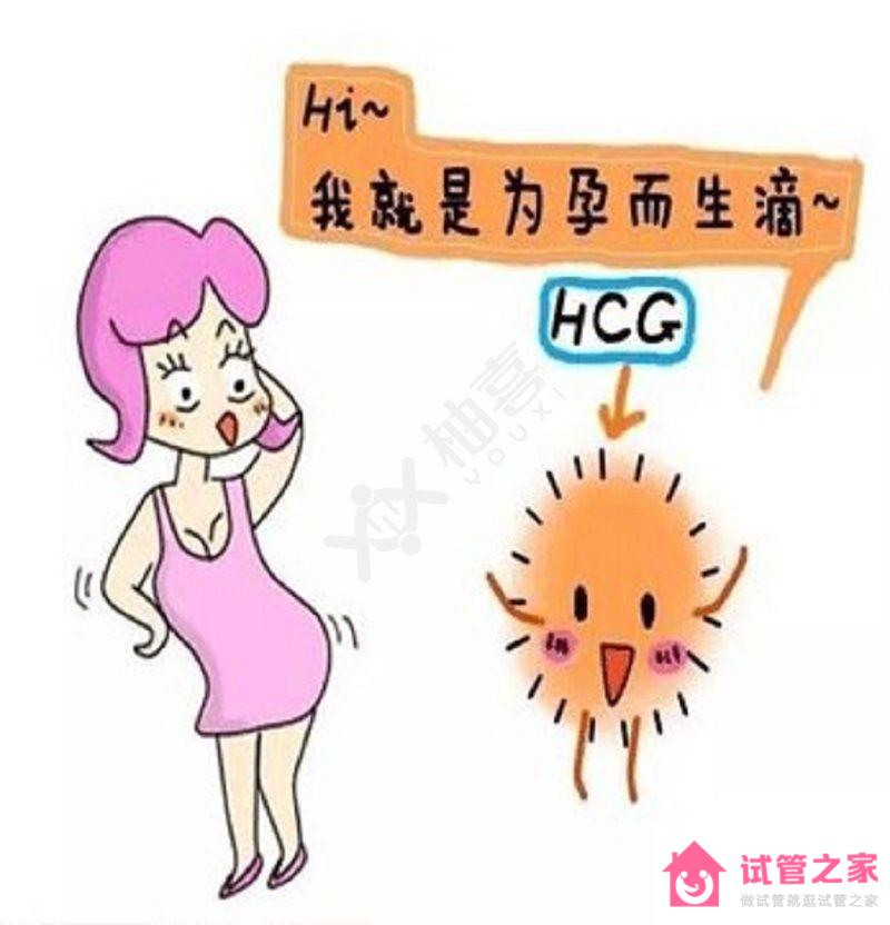 hcg值暗示你懷孕，最新的參考值出爐了