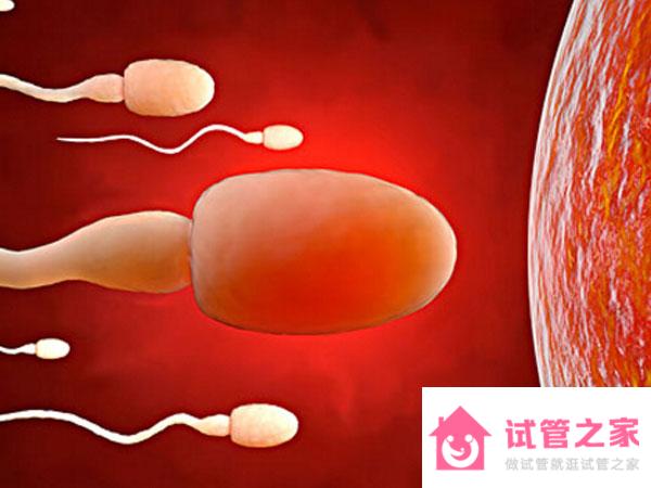 試管嬰兒會優(yōu)先原則a、b級的精子用于受精