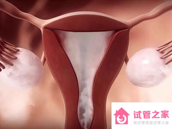 石女是指子宮、陰道先天發(fā)育異常的女性