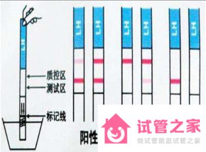 總結(jié)出四個方法測懷孕準(zhǔn)爆了！