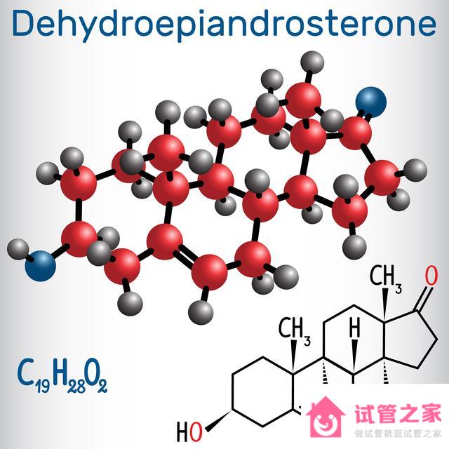 做試管嬰兒你吃脫氫表雄酮(DHEA)嗎，你知道有哪些好處嗎？