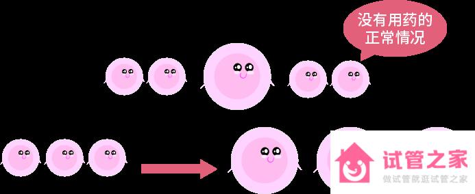了解這些降調(diào)問(wèn)題，才能打好試管促排*基礎(chǔ)!
