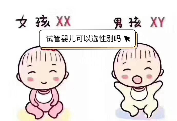 試管嬰兒可以選擇性別嗎?