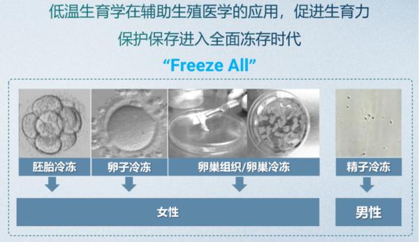 輔助生殖技術(shù)發(fā)展到了哪一步？