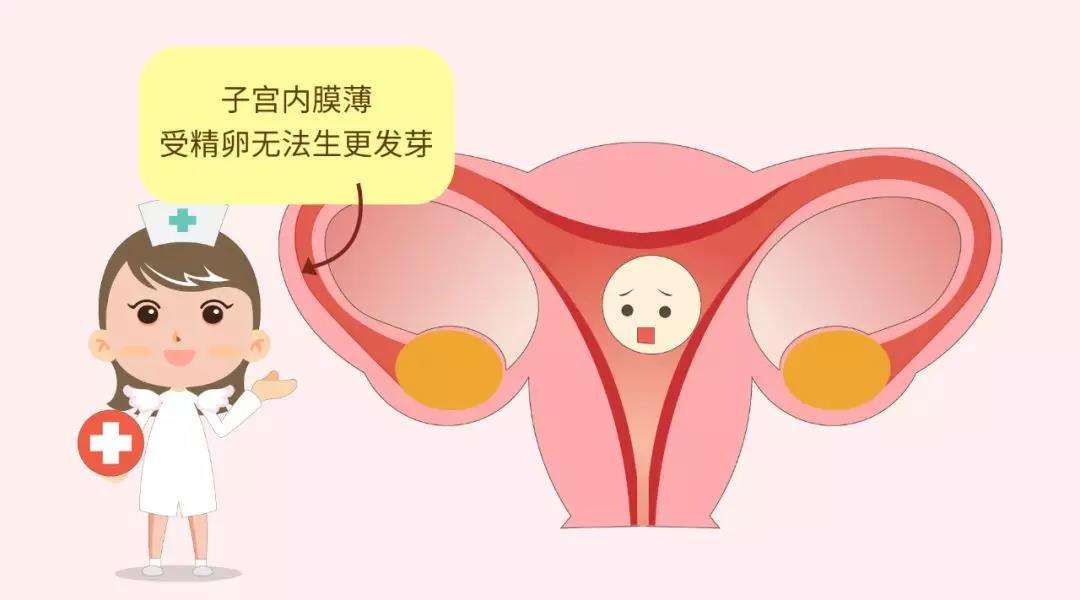 做三*試管嬰兒子宮內(nèi)膜薄了一點可以移植嗎？