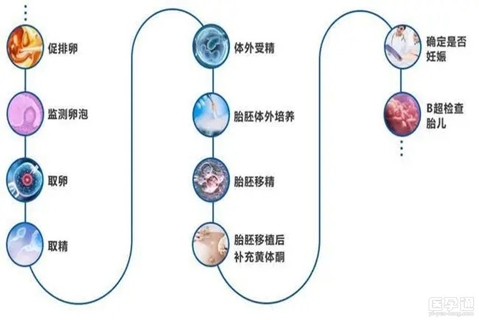 2023最新揭陽試管嬰兒醫(yī)院大全，最新版試管嬰兒治療步驟全面分解 ...