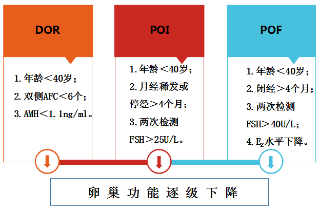 *巢儲備功能減退有沒有最好的助孕方案？*巢儲備衰退可以做試管嬰兒嗎 ...