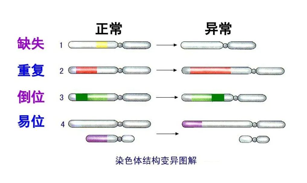 胎停流產之后再難過，這些檢查也不要忘記！胎停流產之后需要做哪些檢查？ ...