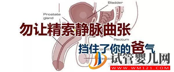 得了弱精子癥別著急,看這篇文章就清楚了