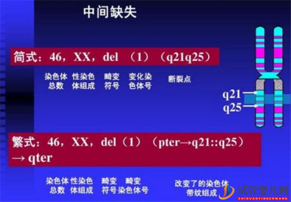 哪些遺傳性疾病可以通過三*試管技術(shù)PGD_PGS篩查