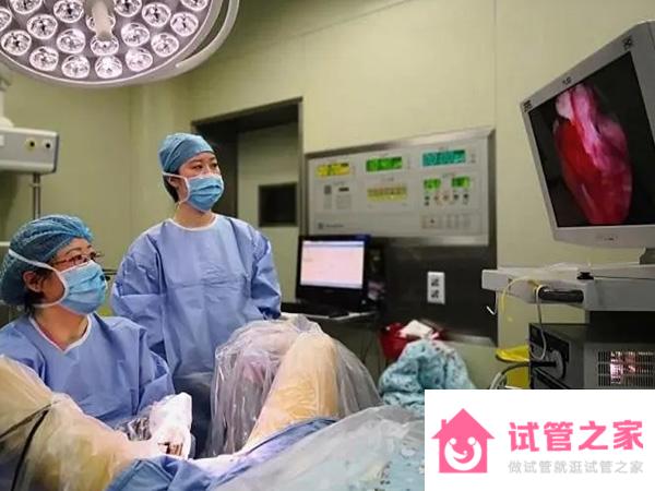 宮腔粘連中度6分不治療自然懷孕幾率是多少？