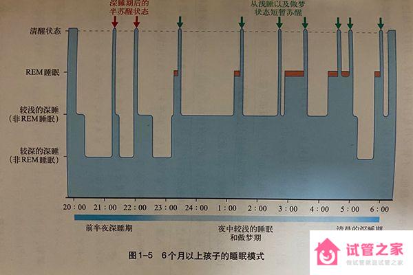 身高與發(fā)育期的睡眠相關(guān)！想幫孩子抓住春天長(zhǎng)個(gè)黃金期轉(zhuǎn)