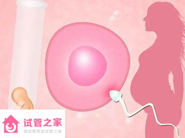 男人無(wú)精子做試管嬰兒但沒(méi)做親子鑒定是親生的嗎？