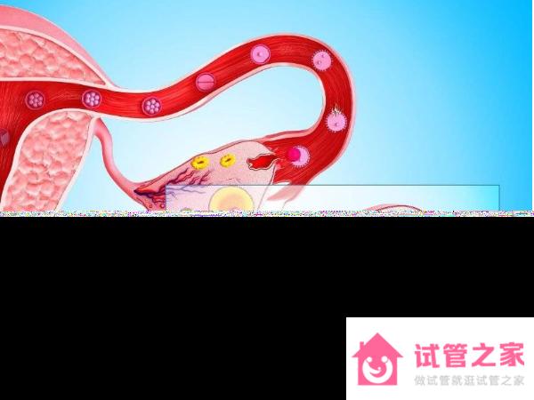 32歲amh值多少為*巢早衰？amh1.1算正常嗎？