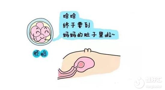 做試管胚胎著床有感覺嗎？這4點(diǎn)最明顯