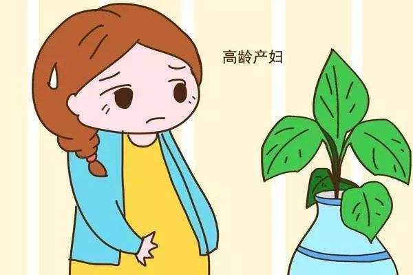 高齡夫妻在徐州婦幼三*試管成功率能有多高？