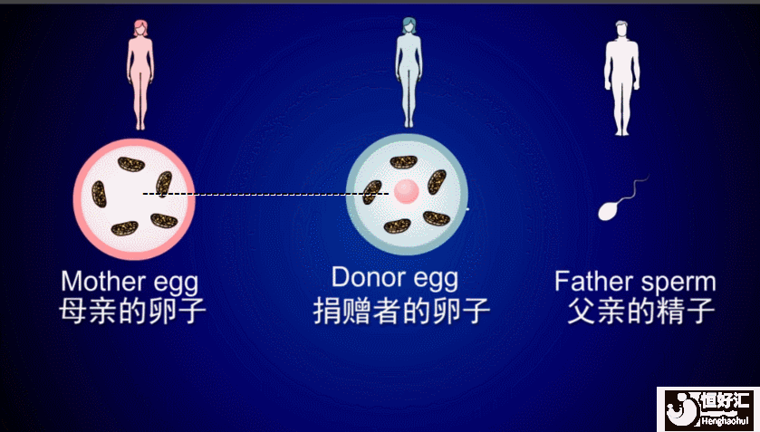 第四*試管嬰兒技術(shù)已經(jīng)應(yīng)用了，是真的嗎？