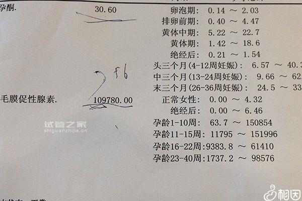 5bc囊胚移植后第六天測(cè)兩條杠要注意，第九天沒(méi)了不在少數(shù)