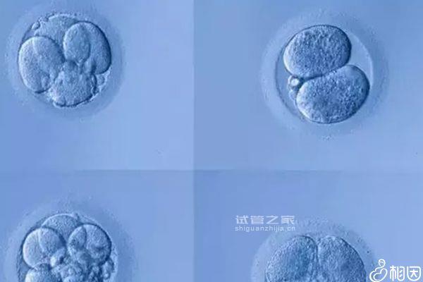 5bc囊胚移植后第六天測(cè)兩條杠要注意，第九天沒(méi)了不在少數(shù)