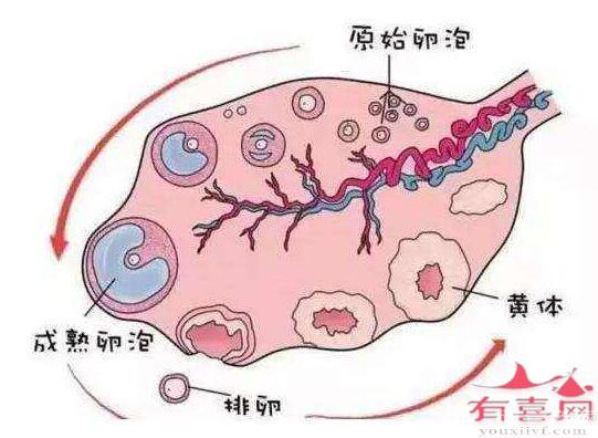 做試管怎樣防止空*泡