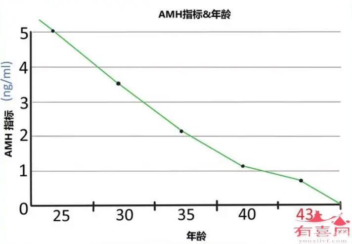 amh值多低女性就無法懷孕