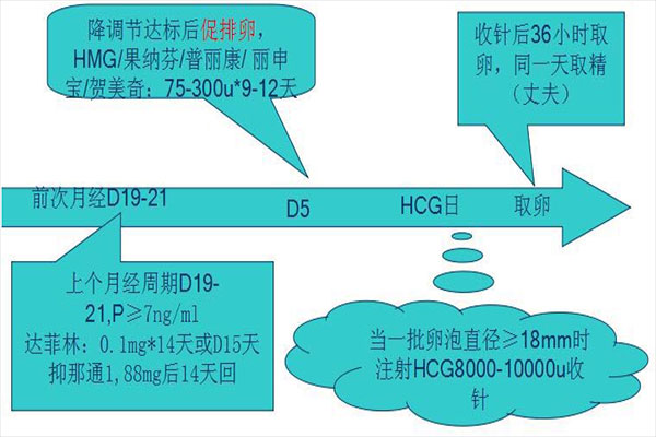 試管超長(zhǎng)方案流程共五個(gè)步驟-整個(gè)過程大概要花1-2月時(shí)間