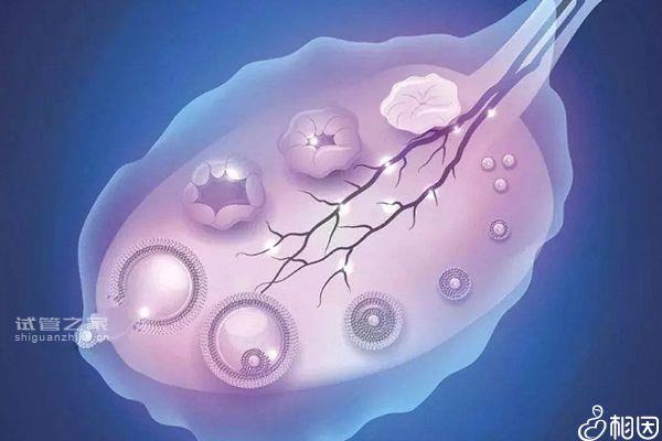 別還不造降調(diào)第八天b超能查出什么，*巢內(nèi)啥也沒有要留心