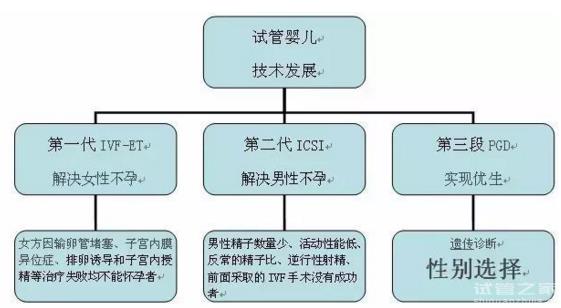 做試管嬰兒成功率高影響較大的因素