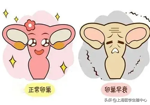 女性試友得了子宮內(nèi)膜異位癥，還能懷孕嗎？