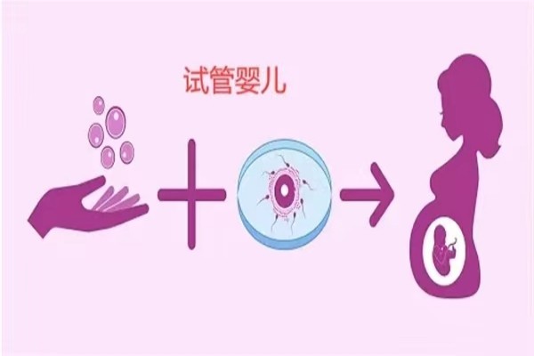 宮寒的女性如何準(zhǔn)備試管嬰兒？