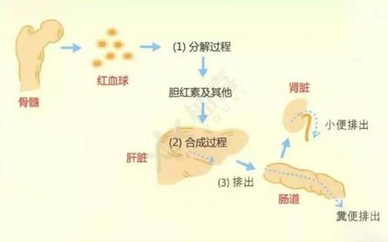 寶寶黃疸父母別瞎治，盲目操作讓你腸子都悔青！