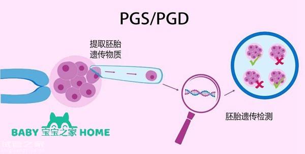 2023年國(guó)內(nèi)三*試管性別選擇費(fèi)用是多少？我國(guó)三*試管選擇的性別條件是什么 ...