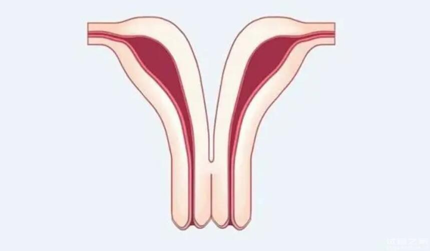 縱隔子宮對懷孕有影響嗎？可不可以做試管嬰兒？