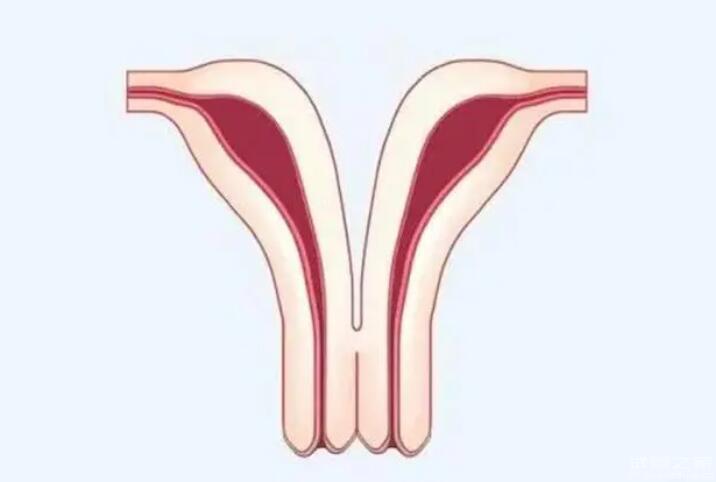 單角子宮會(huì)影響胎兒發(fā)育嗎要多少錢？