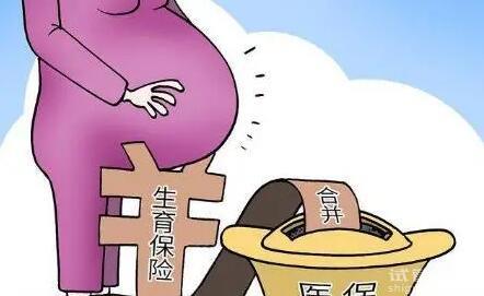 2024生育保險(xiǎn)能報(bào)銷(xiāo)多少錢(qián)？男女都能報(bào)銷(xiāo)嗎？