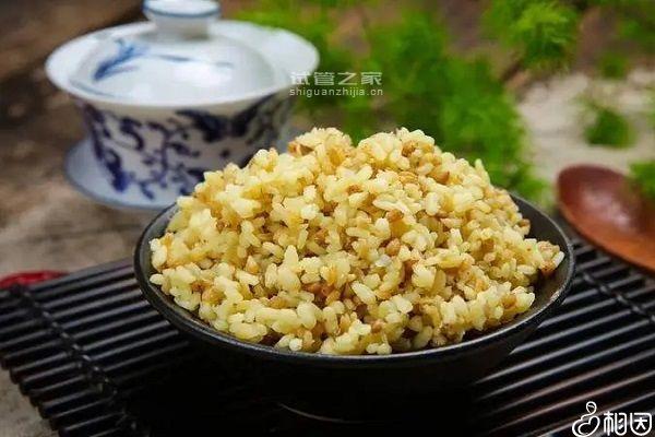 2024升糖指數(shù)高的食物一覽表，孕期高血糖孕婦必忌口