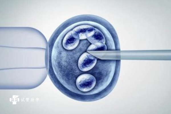 試管嬰兒促排攢胚胎的流程梳理，攢夠多個再移植更容易成功 ...