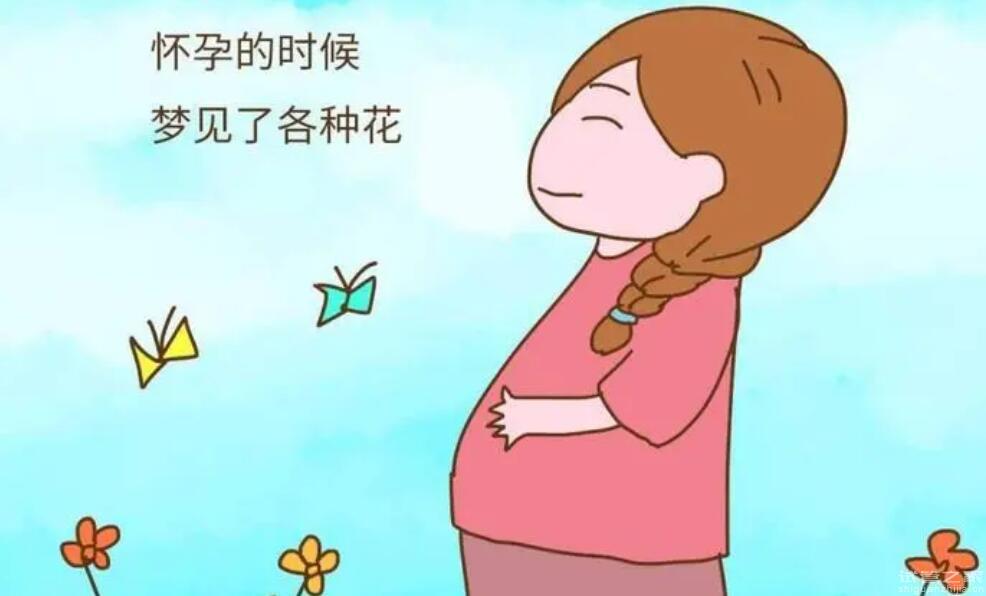 為什么想生女兒卻總是生兒子費用貴嗎多少錢？