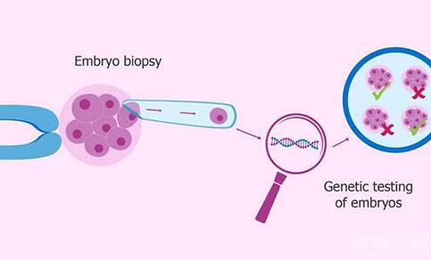 試管一代二代三代選男孩有什么區(qū)別費用多少錢？