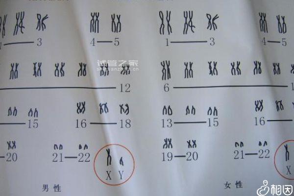 想知道10號染色體重復(fù)多少mb不能要戳，這個比例算嚴(yán)重