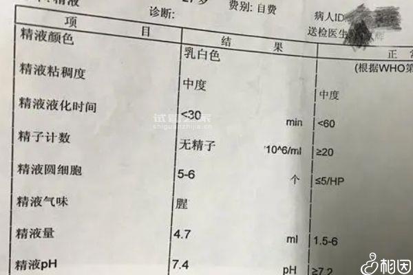 不知做試管老公不配合怎么辦看這，能否找人供精一文說清