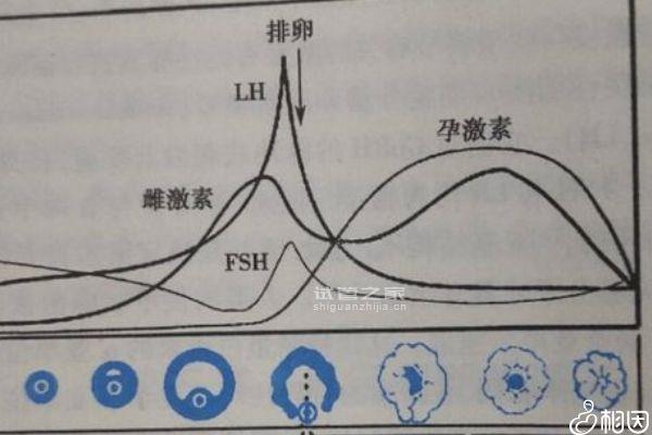 詳述移植30天為何經(jīng)常胃燒心想吐，三大辦法幫你解決