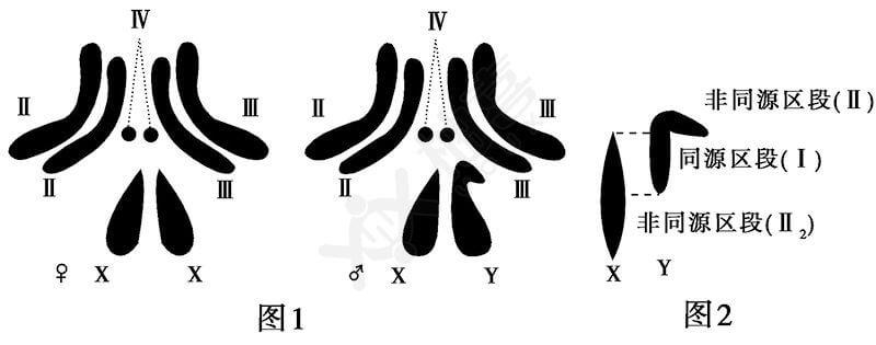 對(duì)于試管嬰兒技術(shù)選性別，你是否也存在這些誤區(qū)？