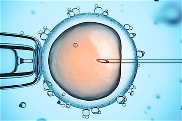宮寒不孕可以做試管嬰兒嗎？染色體不孕能做第三代試管嬰兒嗎 ...
