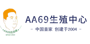 AA69的LOGO圖片