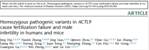 林戈課題組首次揭示男性ACTL9純合突變導(dǎo)致受精失敗的機(jī)制，并提供有效干預(yù)方案 