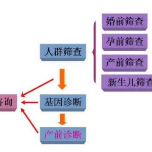 第三*試管費(fèi)用減免！中山大學(xué)附屬六院生殖中心限額招募地中海貧血患者 